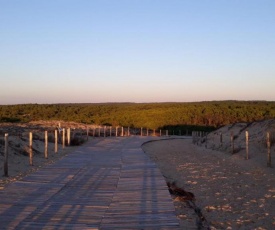 Bassin d'Arcachon - studio - Ares