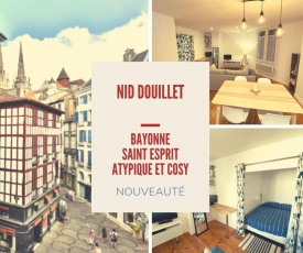 NICE apartment in the heart of BAYONNE