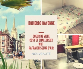 NICE apartment in the HEART of BAYONNE