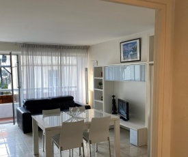 Appartement Biarritz, 3 pièces, 6 personnes - FR-1-239-616