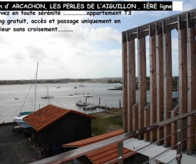 ARCACHON T3 WIFI Les Perles de l Aiguillon Vue Bassin 1ère Ligne 4 à 6 Personnes