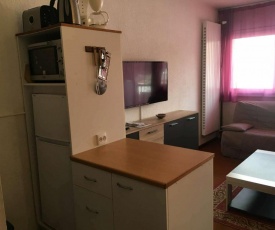 Appartement Gourette, 1 pièce, 4 personnes - FR-1-400-46