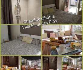 Villa Fleur des Pins - Chambre d'Hôtes LES PINS