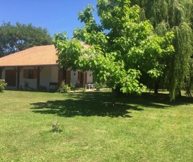 Villa au milieu des pins / bord du lac