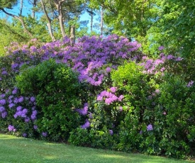 L’Oasis au milieu de la Forêt