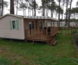 LES PINS " Camping Les Dunes de Contis " St Julien en Born