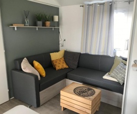 Mobil home au Cap-ferret en premiere ligne du bassin