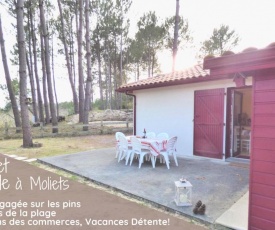 MAISON PINEDE avec jardin et belle vue sur les pins, 4 pers, proche plage Moliets